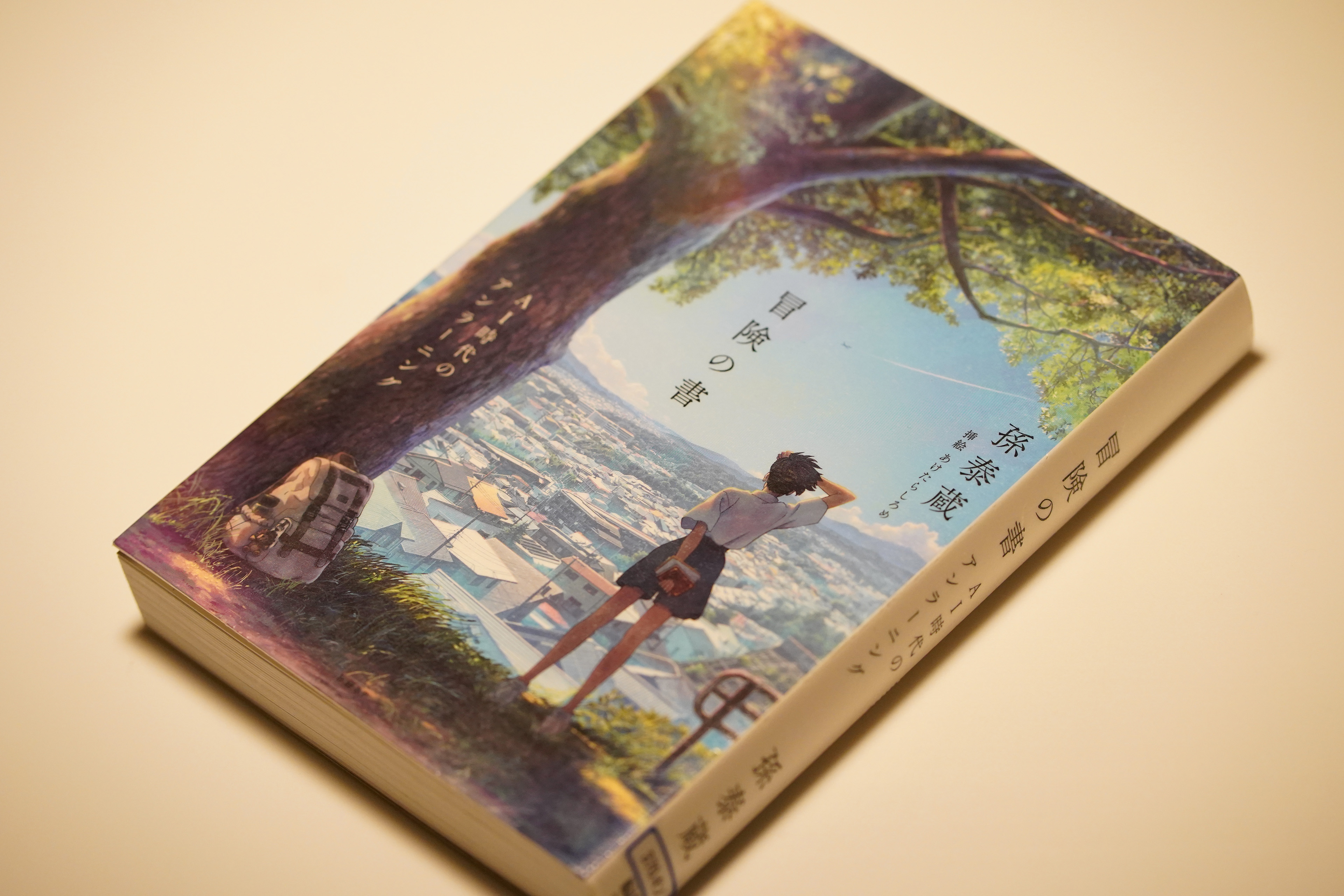 冒険の書 孫泰蔵